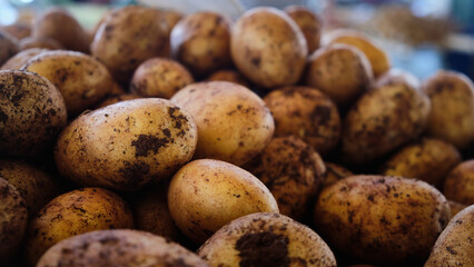 Fresh potatoes heap on a farmer market stall
