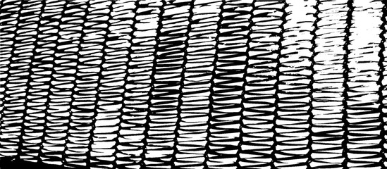 Swirled and curled stripes and brush strokes texture. Marble or acrylic atrwork imitation. Cool and swirly background. Abstract vector illustration. Black isolated on white. EPS10