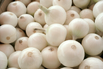 White onions in a supermarket, at home. Vitamin vegetable cuisine.