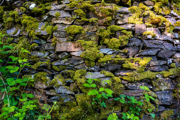 Steinmauer aus Schieferstein und Moos