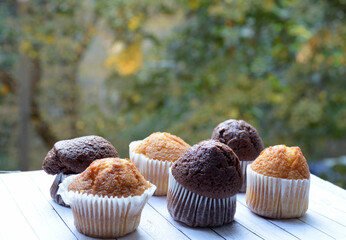 chocolate and vanilla cupcakes in a baking dish close-up on a wooden board, in the background a blurred background of greenery of trees