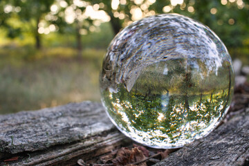 Lensball - Natur - Transparenz - Zerbrechlich - Ecology - Glass Sphere - Bioeconomy - High quality...