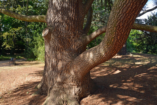 schlo&szlig;garten kirchheimbolanden