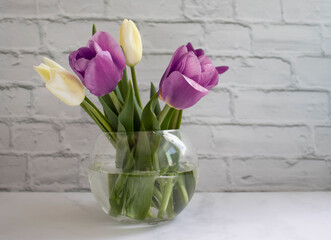 Tulip flower in a vase in the room