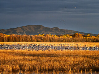 autumn landscape with mountains and birds