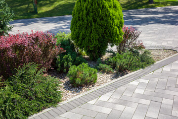 evergreen trees and shrubs with a flower bed in a landscaped park
