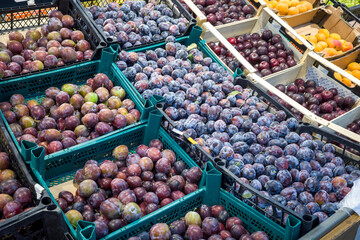 ripe plums in a box on the store counter for purchase