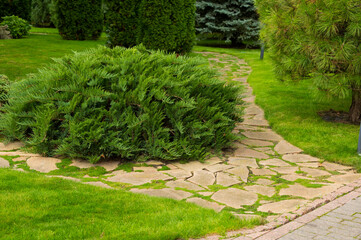 evergreen trees and shrubs with a flower bed in a landscaped park