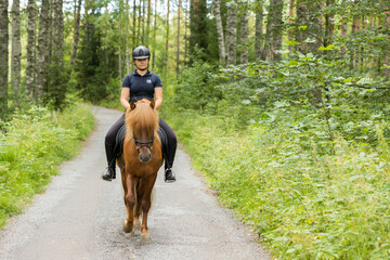 Icelandic horse with female rider on saddle. Rider wearing helmet.