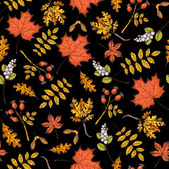 Naklejka na ściany i meble Autumn leaf seamless pattern. Hand drawn backdrop. Thanksgiving background. Fall design for wrapping paper or fabrics and other