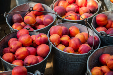 small ripe nectarines in iron bucket