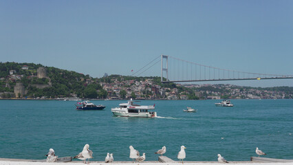 seagulls boats and blue bosporus in Istanbul