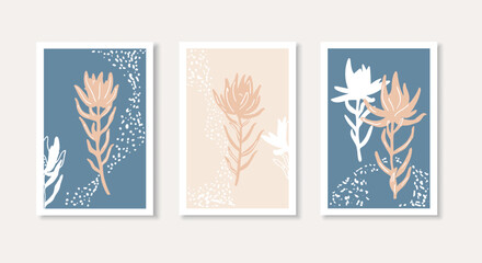 Set of three leucadendron flowers wall art
