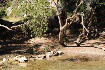 pureté d'une résurgence