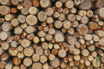 Möbelaufkleber Muro de troncos cortado vistos frontalmente apilados formando una bonita foto para salvapantallas © Tonikko