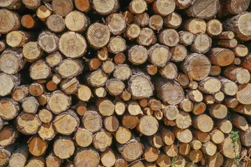 Möbelaufkleber Muro de troncos cortado vistos frontalmente apilados formando una bonita foto para salvapantallas © Tonikko