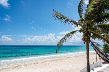 Tropical paradise resort with teal. turquoise, blue ocean, white sand beach, a palm tree with coconuts, and clouds in the sky