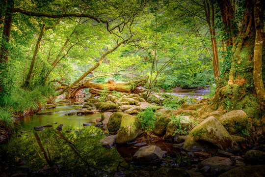 Riverside image of a secluded river, landscape in Dartmoor woodland, Devon England