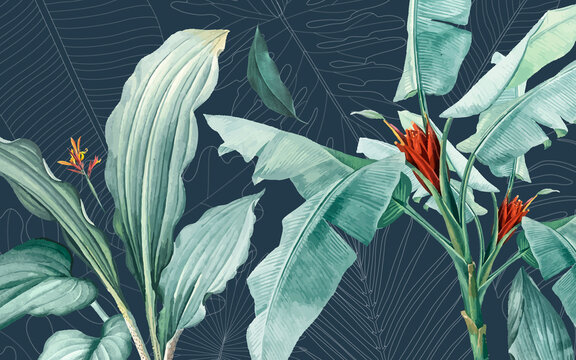 Tropical plants wallpaper design, banana leaf, big leaf, bacground, mural art. © yyeah