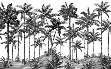 black and white palms wallpaper design, drawing, modern background, interior architecture, decor design, mural art.
