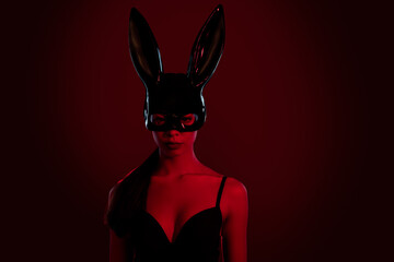 Photo of gorgeous lady prostitute charming look wearing black bunny wish costume isolated maroon color background