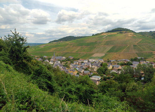 Blick auf den Ort Veldenz vom Premium-Wanderweg Moselsteig Seitensprung Grad Georg Johannes Weg im Landkreis Bernkastel-Wittlich, Rheinland-Pfalz.