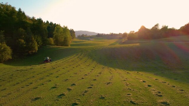 AERIAL: Farm tractor with hay tedder turning mowed hay in autumn evening light. Farmer aerating grass to speed up drying as part of haymaking process. Raking and tedding hay on green meadow at sunset.