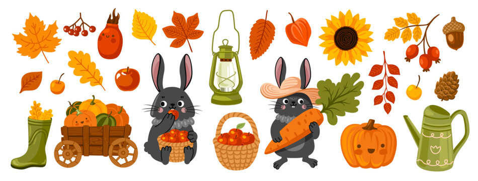 Black bunny cartoon characters, pumpkin, apple, foliage. Farming, gardening, fall season design elements. Autumn harvest set. Vector flat illustration.