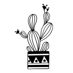 Linear sketch of a kaksuta in a flower pot. Stylized vector graphics.