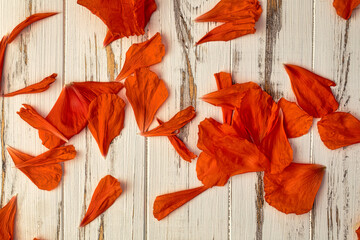 Fototapeta na wymiar Poppy petals on a white wooden background