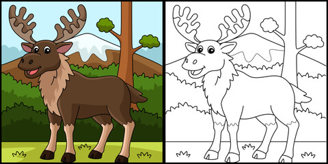 Fototapeta na wymiar Moose Animal Coloring Page Colored Illustration