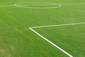 A fragment of the marking of a football field with green grass.