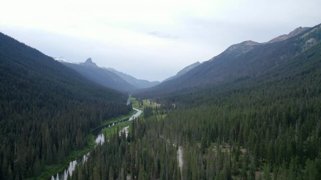 Okanogan-Wenatchee National Forest C7.3