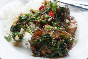 Stir-Fried Fish with Chinese Celery on the white cooked rice,thai  food.