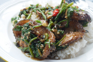 Stir-Fried Fish with Chinese Celery on the white cooked rice,thai  food.