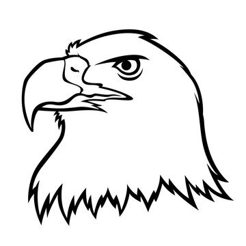 drawing a black head eagle on white background