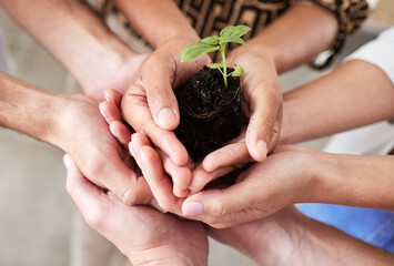 Green economy, sustainability plant hands and global growth of teamwork with hope, help and trust...