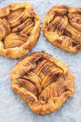 rustic traditional french biscuit cake with apples in autumn style, top view