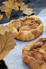 rustic traditional french biscuit cake with apples in autumn style
