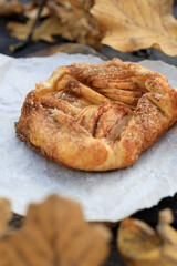 rustic traditional french biscuit cake with apples in autumn style