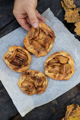 holds in hand a rustic traditional french biscuit cake with apples in autumn style, top view