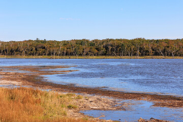 野付半島のナラワラ「秋の北海道」