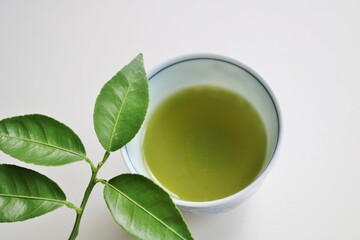 ティータイム　日本茶　抹茶