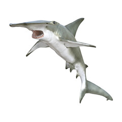 Sea Shark 3d model illustration