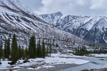 winter landscape with snow  in alberta Canada