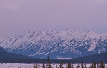snow covered mountains