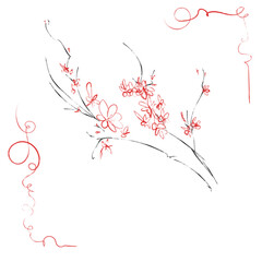 Ink  painting Japanese cherry blossom branch strokes illustration with red swirls decorative elements 
