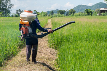 Rear view of Asian farmer using a sprayer to apply herbicides, pesticides, and fertilizers on...