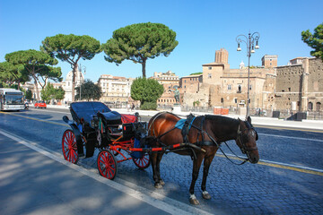 ローマの観光馬車 - obrazy, fototapety, plakaty