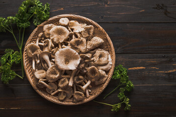 Fresh edible mushroom (Lentinus squarrosulus) in basket on wooden background, Organic food ingredients in seasonal, Table top view